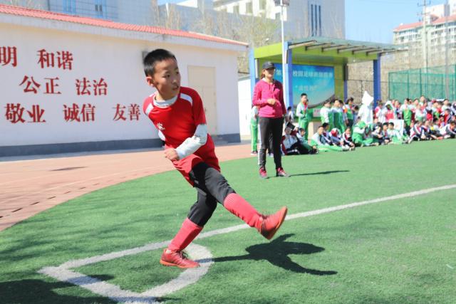 特尔留热刺：稳定环境下的新生与成长